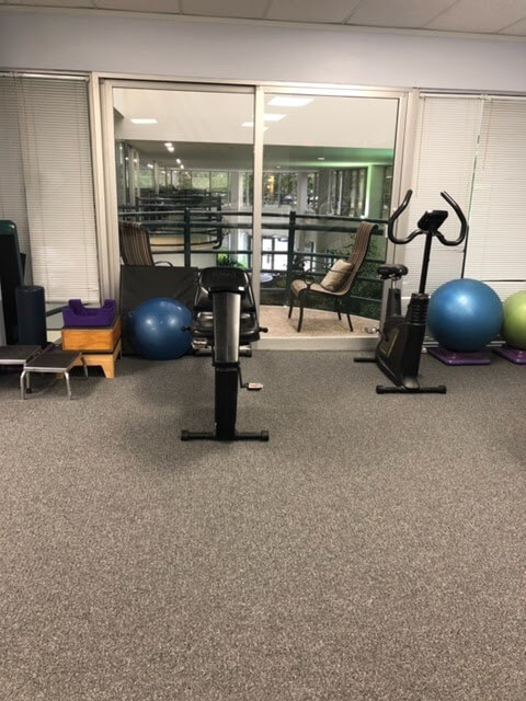 physical therapist exercising woman's arm 